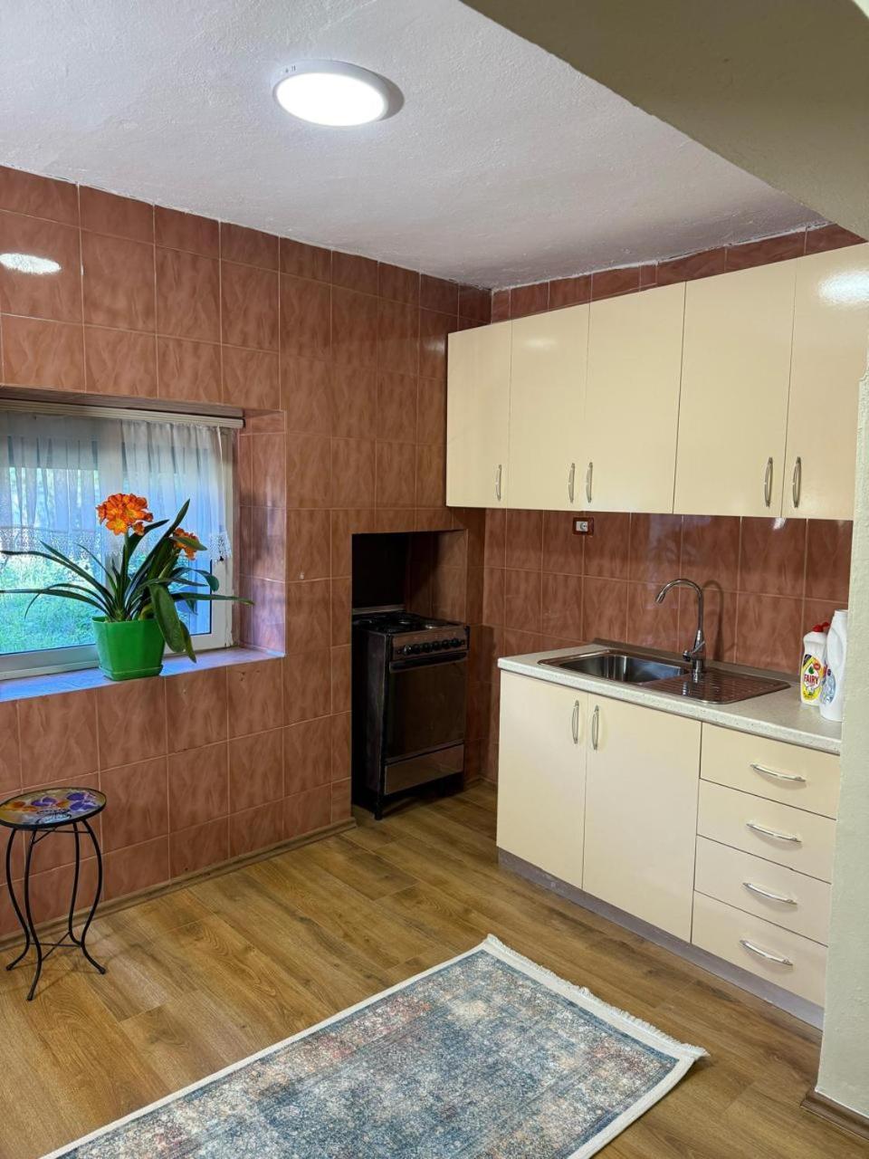 Shkodra Guest House & Trips Extérieur photo